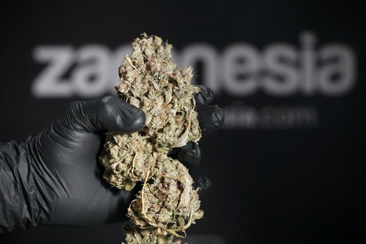 A Sudae Driver Mood. Week 14 - SD#3