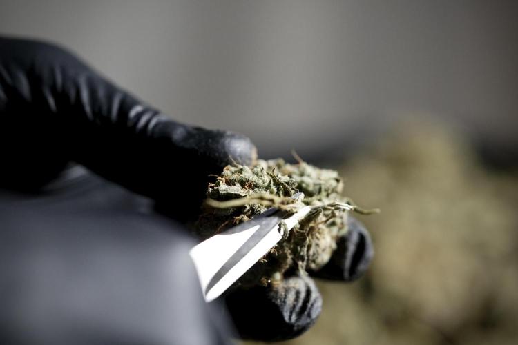 A Sudae Driver Mood. Week 14 - SD#3