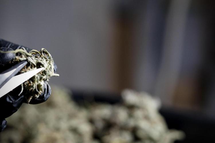 A Sudae Driver Mood. Week 14 - SD#3