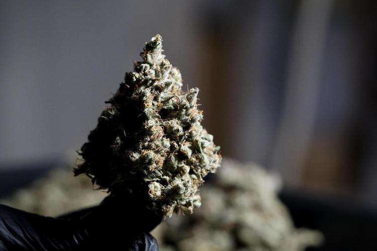 A Sudae Driver Mood. Week 14 - SD#3