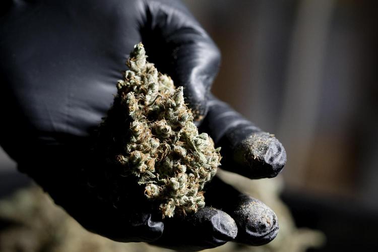 A Sudae Driver Mood. Week 14 - SD#3