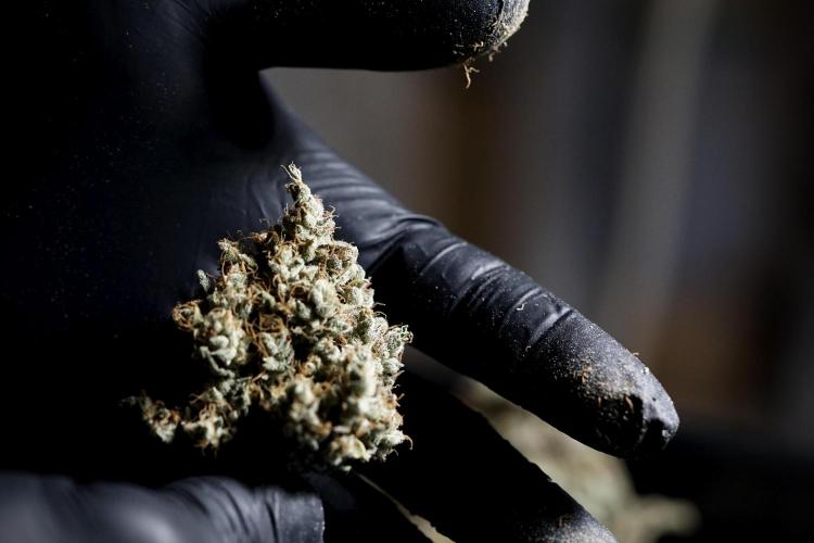 A Sudae Driver Mood. Week 14 - SD#3