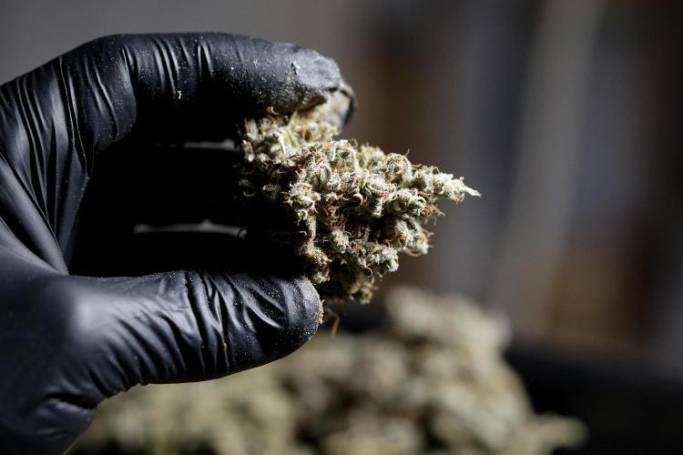 A Sudae Driver Mood. Week 14 - SD#3