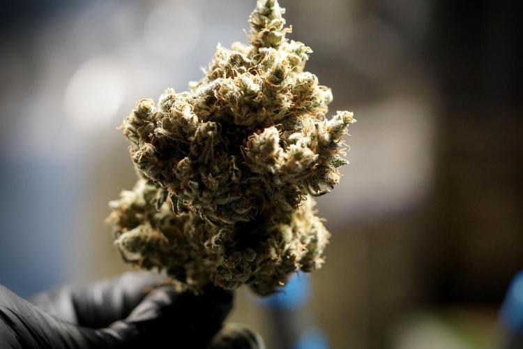 A Sudae Driver Mood. Week 14 - SD#3