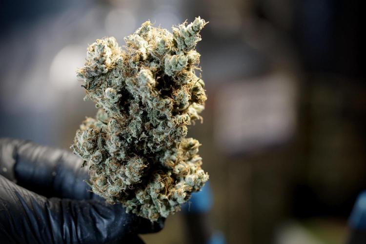 A Sudae Driver Mood. Week 14 - SD#3