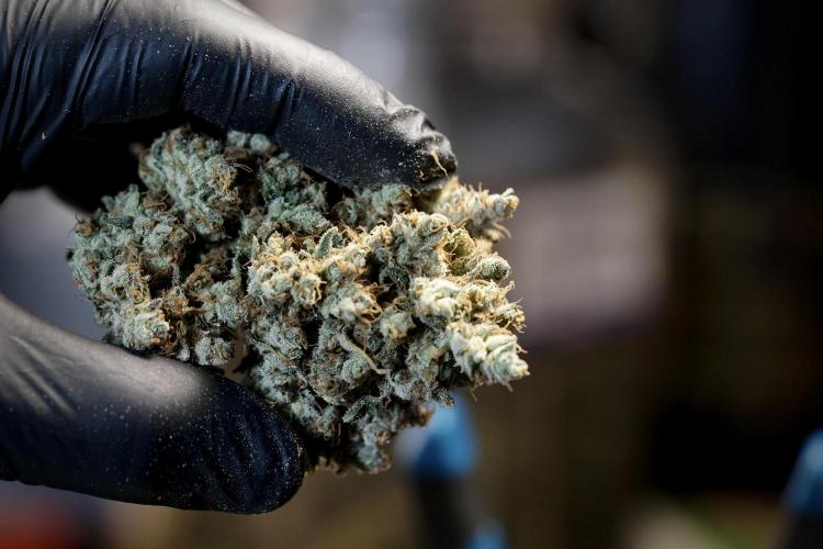 A Sudae Driver Mood. Week 14 - SD#3