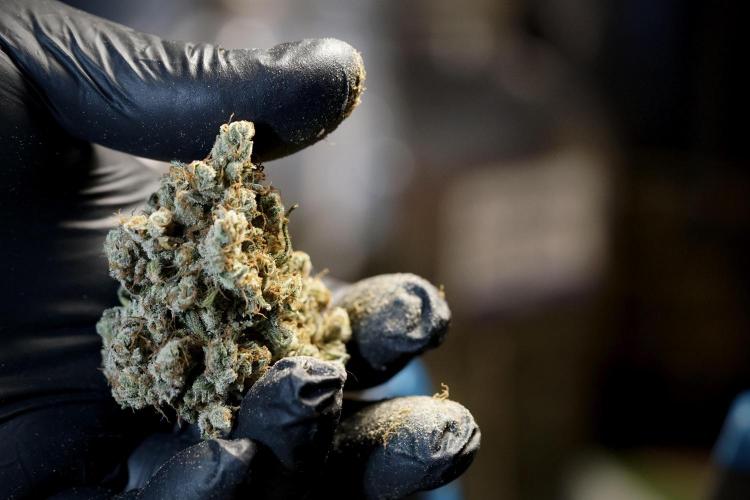 A Sudae Driver Mood. Week 14 - SD#3