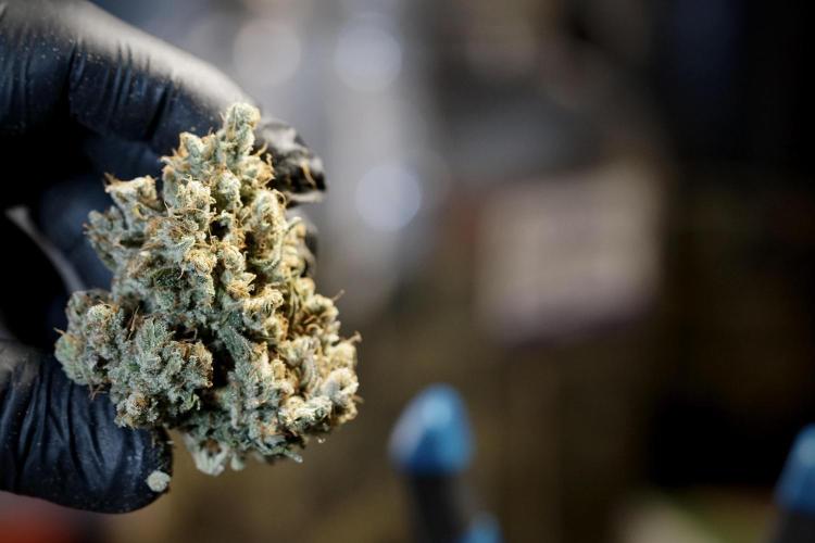 A Sudae Driver Mood. Week 14 - SD#3