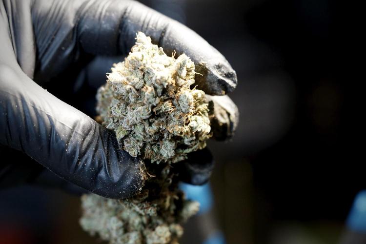 A Sudae Driver Mood. Week 14 - SD#3