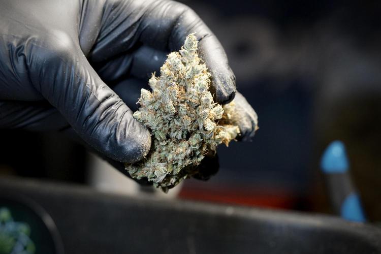 A Sudae Driver Mood. Week 14 - SD#3