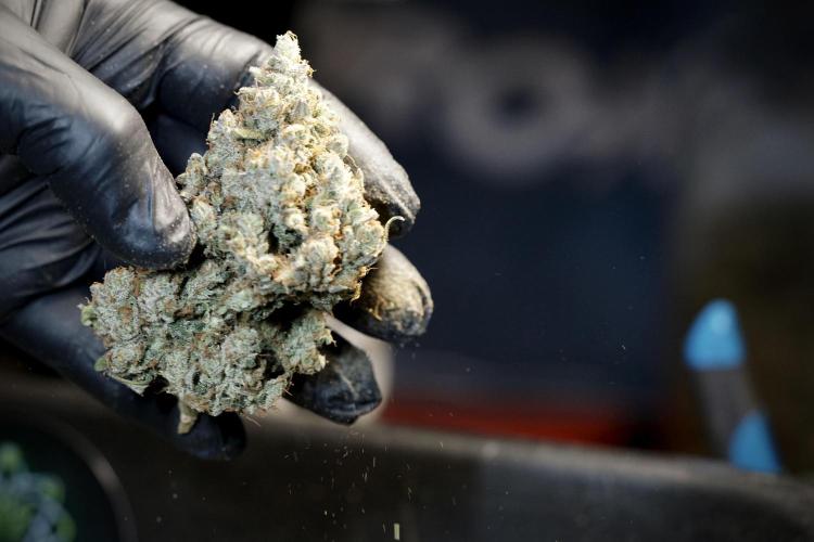 A Sudae Driver Mood. Week 14 - SD#3