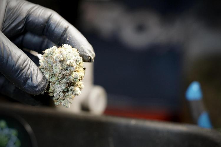 A Sudae Driver Mood. Week 14 - SD#3