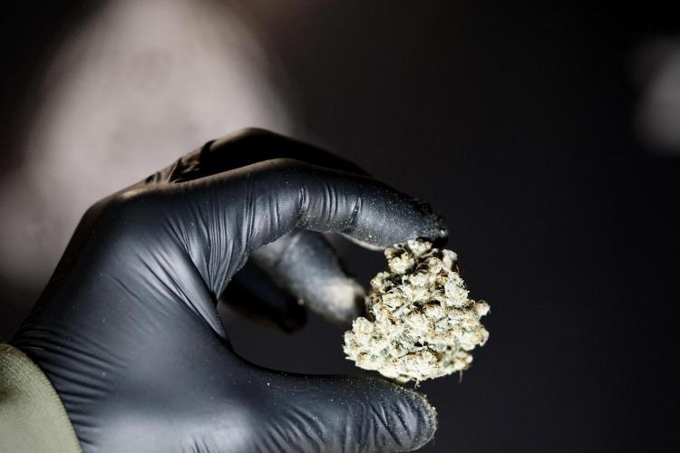 A Sudae Driver Mood. Week 14 - SD#3