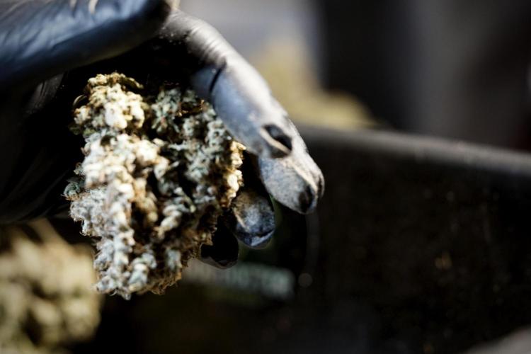 A Sudae Driver Mood. Week 14 - SD#3