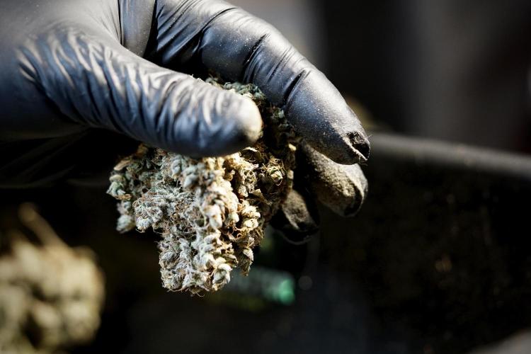 A Sudae Driver Mood. Week 14 - SD#3