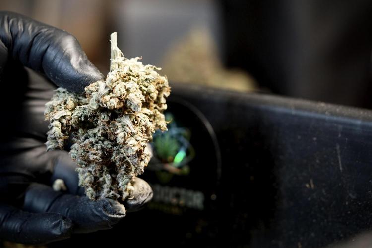 A Sudae Driver Mood. Week 14 - SD#3