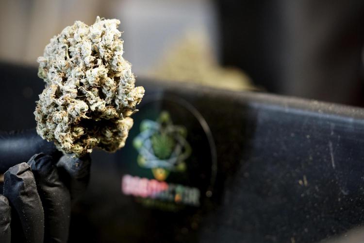 A Sudae Driver Mood. Week 14 - SD#3