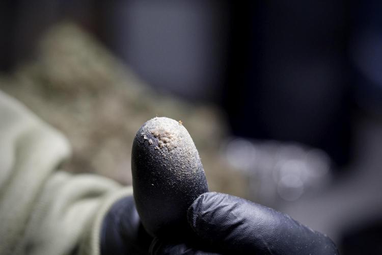 A Sudae Driver Mood. Week 14 - SD#3