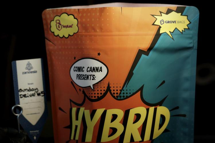 A Sudae Driver Mood. Week 14 - SD#3