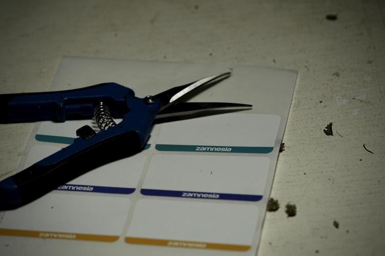 A Sudae Driver Mood. Week 14 - SD#3