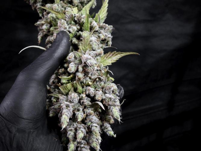 A Sudae Driver Mood. Week 14 - SD#3