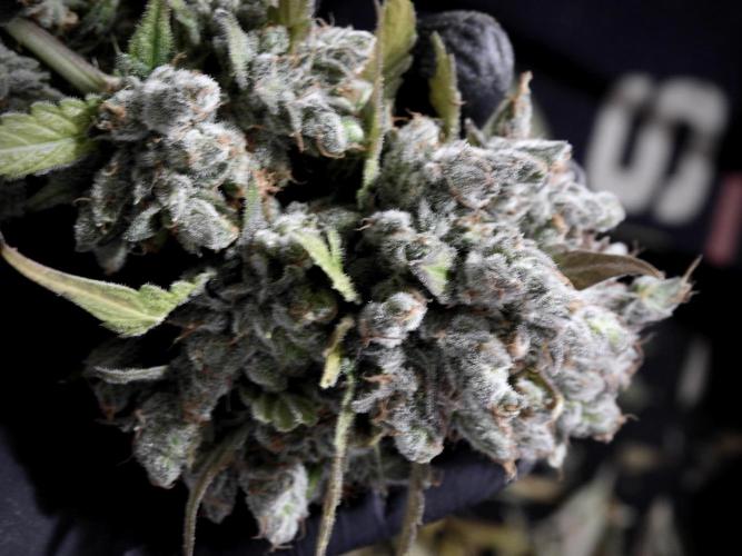 A Sudae Driver Mood. Week 14 - SD#3