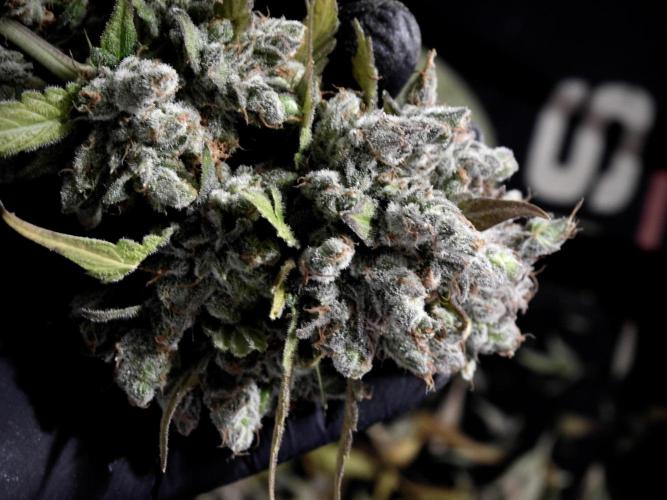 A Sudae Driver Mood. Week 14 - SD#3