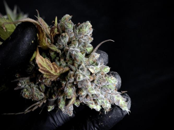 A Sudae Driver Mood. Week 14 - SD#3