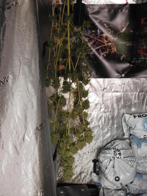 A Sudae Driver Mood. Week 14 - SD#3