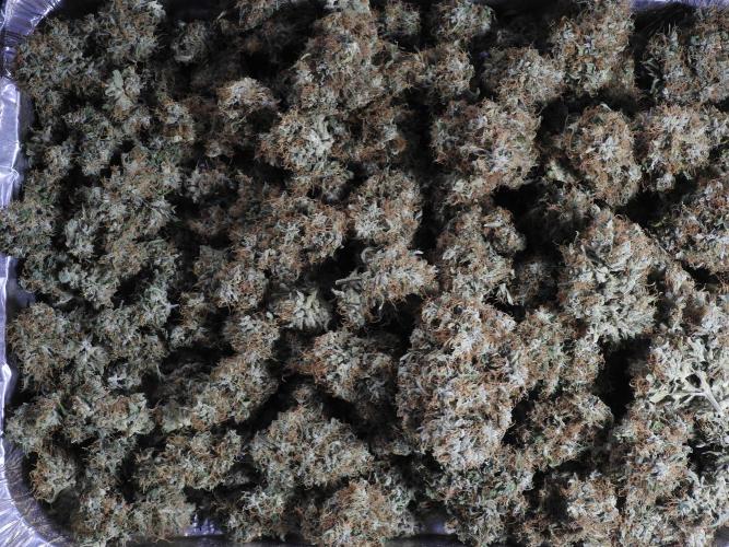 A Sudae Driver Mood. Week 14 - SD#3