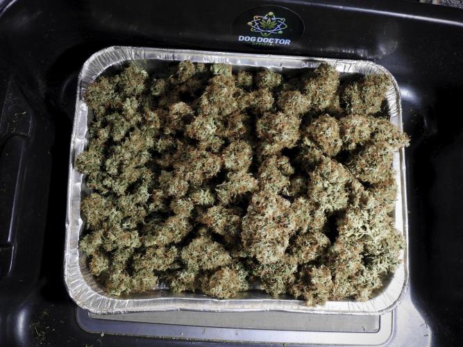 A Sudae Driver Mood. Week 14 - SD#3