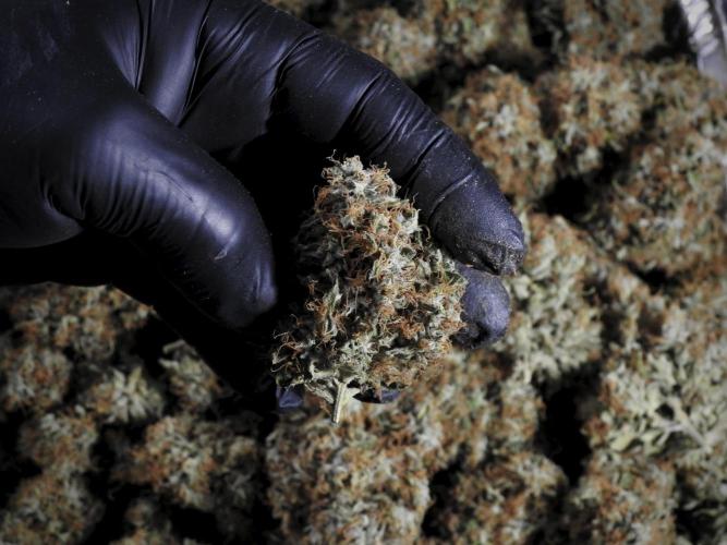 A Sudae Driver Mood. Week 14 - SD#3