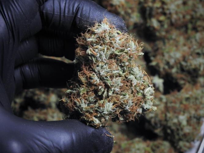 A Sudae Driver Mood. Week 14 - SD#3