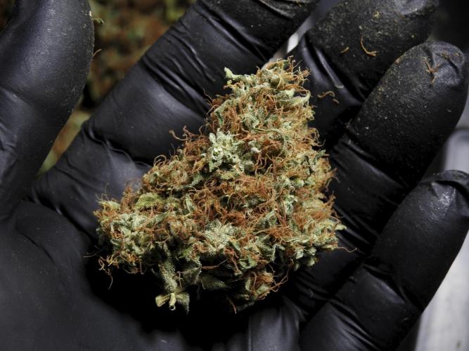 A Sudae Driver Mood. Week 14 - SD#3