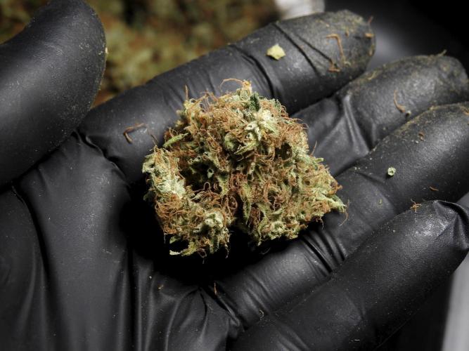 A Sudae Driver Mood. Week 14 - SD#3