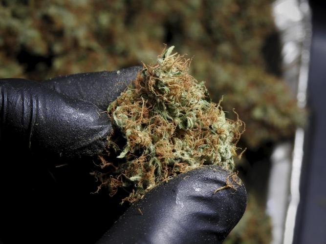 A Sudae Driver Mood. Week 14 - SD#3