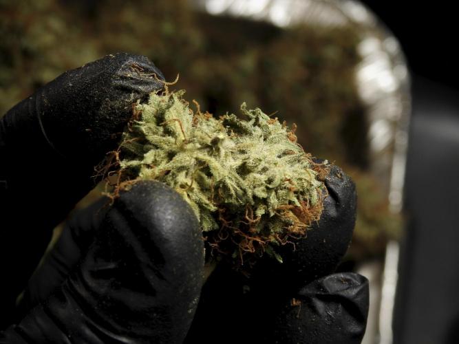 A Sudae Driver Mood. Week 14 - SD#3