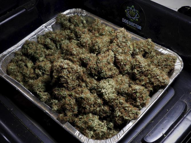 A Sudae Driver Mood. Week 14 - SD#3