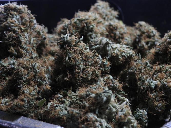 A Sudae Driver Mood. Week 14 - SD#3