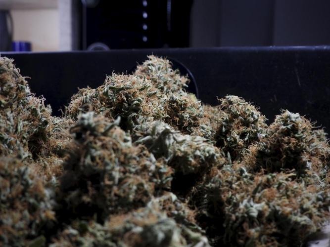 A Sudae Driver Mood. Week 14 - SD#3