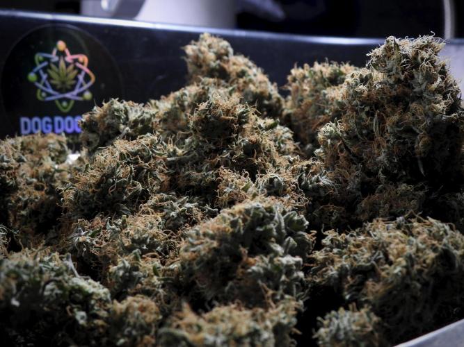 A Sudae Driver Mood. Week 14 - SD#3