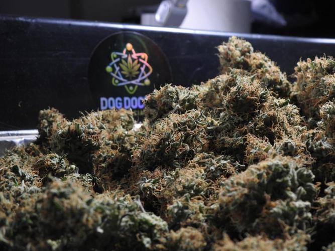 A Sudae Driver Mood. Week 14 - SD#3