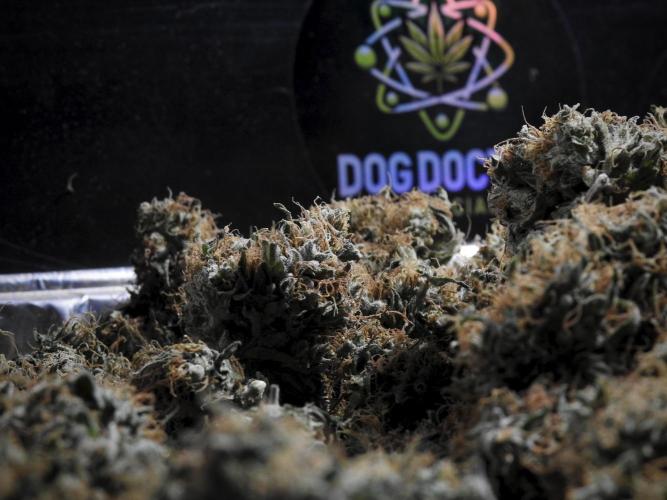 A Sudae Driver Mood. Week 14 - SD#3