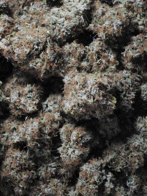 A Sudae Driver Mood. Week 14 - SD#3