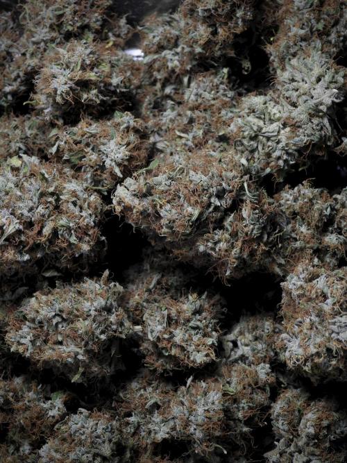 A Sudae Driver Mood. Week 14 - SD#3