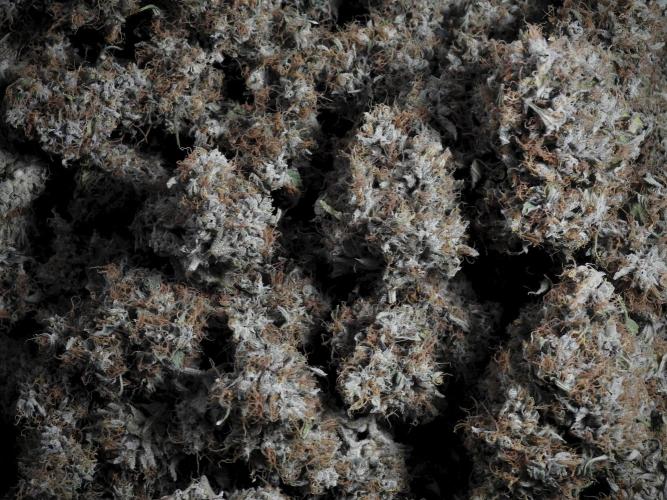 A Sudae Driver Mood. Week 14 - SD#3