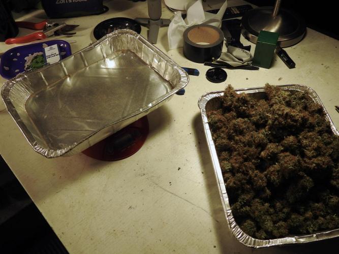 A Sudae Driver Mood. Week 14 - SD#3