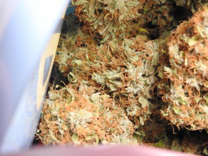 A Sudae Driver Mood. Week 14 - SD#3