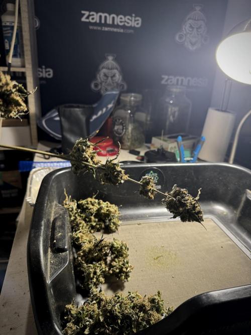 A Sudae Driver Mood. Week 14 - SD#3