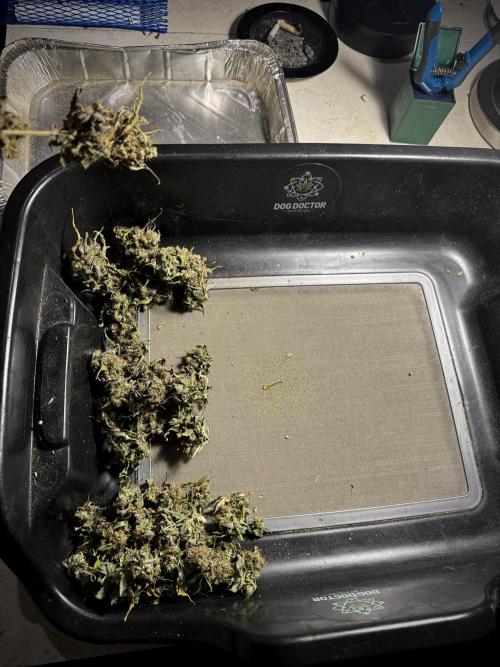 A Sudae Driver Mood. Week 14 - SD#3